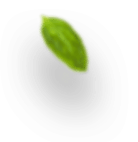 shpare_802e62d